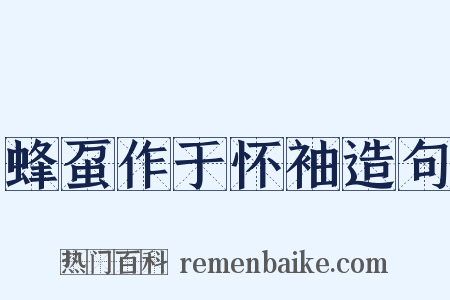 蜂虿作于怀袖造句是什么意思的图片